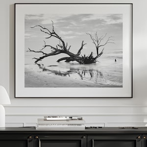 May include: Black and white framed photograph of a driftwood tree on a beach. The tree's gnarled branches extend across the frame, with reflections in the shallow water. The sky is overcast, and the scene is serene.