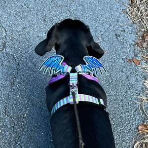 Dragon Wings for Dog Harness, Pet Halloween Costume, Gargoyle Wings, Dog Cosplay Outfit, Snap On Dog Accessory, Small Dog Dress Up