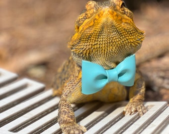Solid Color Bearded Dragon Bow Tie, Reptile Bow Accessory, Guinea Pig Ferret Rabbit Clothes, Gift for Lizard Mom, faux Leather Bow Tie