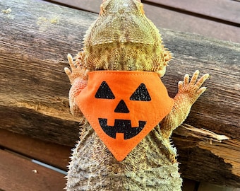 Może przedstawiać: Gad noszący pomarańczową chustę na Halloween z czarną twarzą jack-o'-lantern. Gad jest umieszczony na drewnianym pniu, widoczne są jego pazury. Chusta to świąteczny dodatek dla gada.