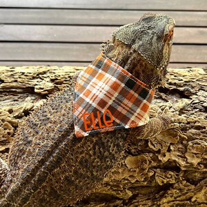 Halloween Plaid Bearded Dragon, Reversible Fall Beardie Scarf, Orange Reptile Costume, Autumn Lizard Outfit, Personalized Bandana