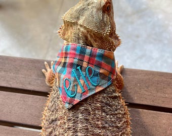 May include: A bearded dragon wearing a plaid bandana with the name "Elle" embroidered on it in teal blue thread.