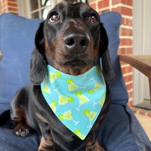 Cinco de Mayo Dog Bandana, Margarita Pet Scarf, Fiesta Bandana With Snaps, Taco Night Cat Kerchief, Personalized Reversible Bandana