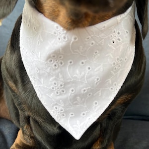 May include: White embroidered dog bandana with a floral and leaf pattern. The bandana is square-shaped and tied around the dog's neck. The dog has black and brown fur.