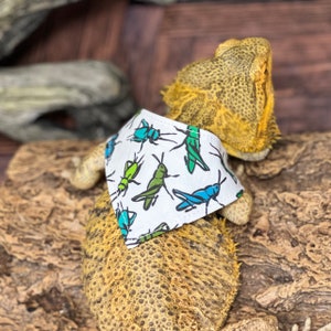 Reversible Cricket Bearded Dragon Bandana, Plaid Beardie Bandana, Reptile Lizard Accessory, Reptile Mom Dad Gift, Funny Dragon Clothing