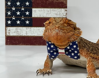 Fourth of July Bearded Dragon Bow Tie, Patriotic Beardie Costume, Stars and Stripes Reptile Clothes, Guinea Pig Ferret Rabbit Accessory
