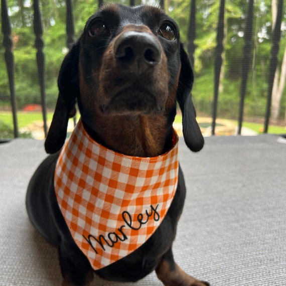 Orange Gingham Dog Bandana, Halloween Pet Scarf, Embroidered Plaid Snap On Bandana, Polka Dotted Dog Neckwear, Fall Cat Kerchief