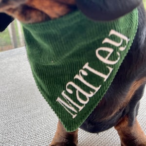 Green Corduroy Dog Bandana, Embroidered Snap On Pet Scarf, Fall Dog Neckerchief, Gift for New Dog Mom, Dog Holiday Photo, Cat Kerchief