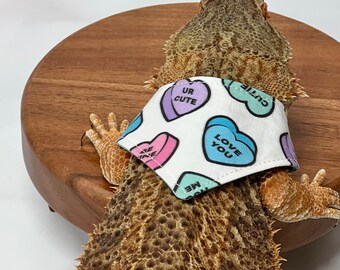 Valentine’s Day Bearded Dragon Bandana, Candy Beardie Scarf, Heart Lizard Accessory, Reptile Outfit, Small Animal Clothes, Gift for Reptile