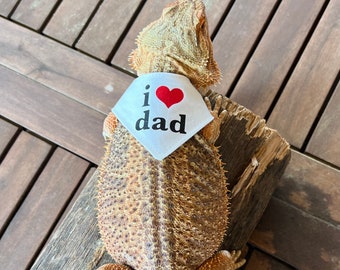 I Love Dad Bearded Dragon Bandana, Father’s Day Beardie Scarf, Reptile Dad Gift, Lizard Accessory, Bearded Dragon Clothes, I Heart Dad