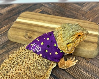 Halloween Bearded Dragon Bandana, Witch Hat Beardie Scarf, Personalized Bandana, Star Lizard Accessory, Holiday Reptile Outfit
