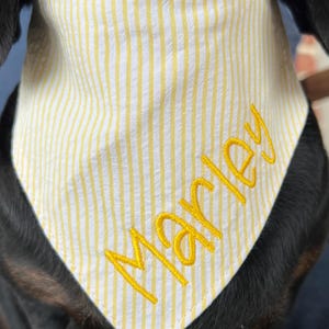 以下が含まれることがあります： 黄色と白のストライプの犬用バンダナで、黄色い糸で「Marley」という名前が刺繍されています。
