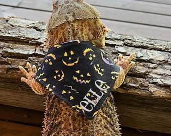 Halloween Jack O Lantern Faces Bearded Dragon Bandana, Reversible Pumpkin Beardie Scarf, Plaid Lizard Accessory, Fall Reptile Outfit