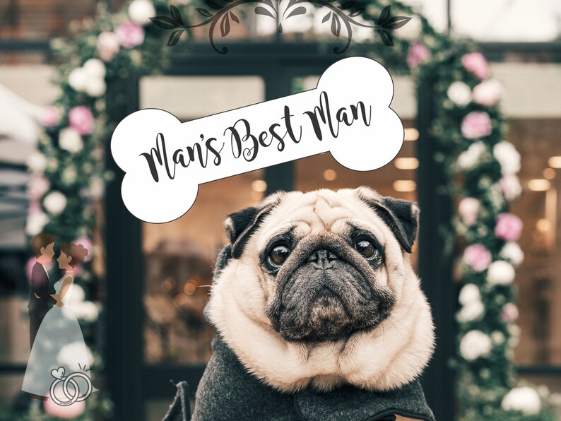 Download Man S Best Friend Dog Bone Svg Png Pdf Clipart Dog Owners Weddings Pet Accessories Handkerchief Image Transfer Waterslide Htv Cricut Cameo Pet Clothing Accessories Shoes Pet Supplies