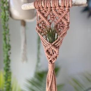 Boho Macrame Air Plant Hanger: Woven Wall Decor
