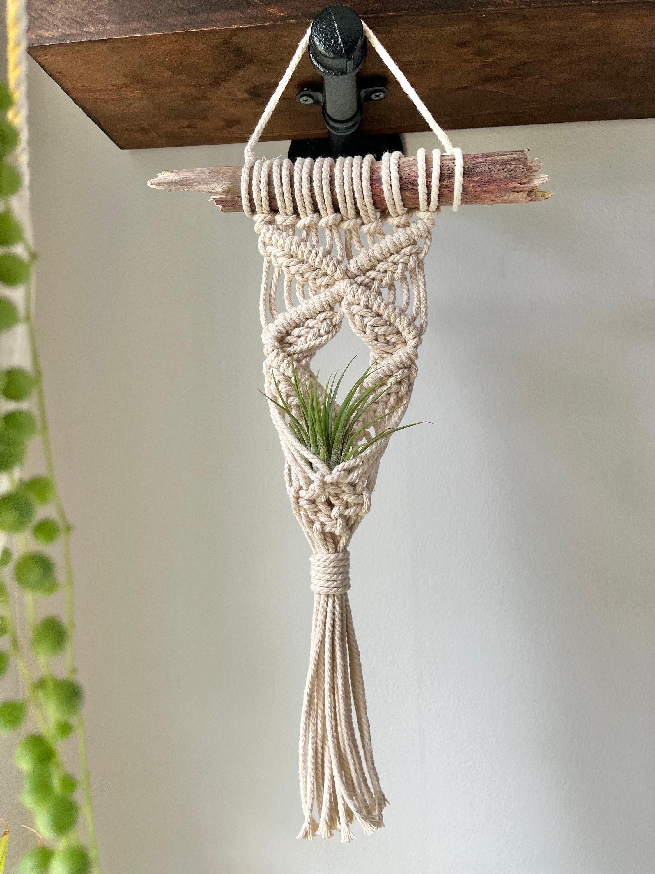 Ownkoti Hand Woven Cotton Tapestry Wall Hanging Plant Holder Home