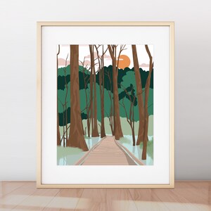 Congaree National Park Print, National Park Minimalist Modern Drawing, Congaree Poster