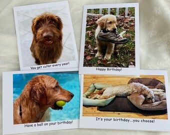 May include: Four greeting cards featuring different dogs with birthday messages. The first card shows a brown dog with the text "You get cuter every year!" The second card shows a golden retriever puppy with a shoe in its mouth and the text "Happy Birthday!" The third card shows a golden retriever with a tennis ball in its mouth and the text "Have a ball on your birthday!" The fourth card shows a dog lying in a dog bed with the text "It's your birthday...you choose!"