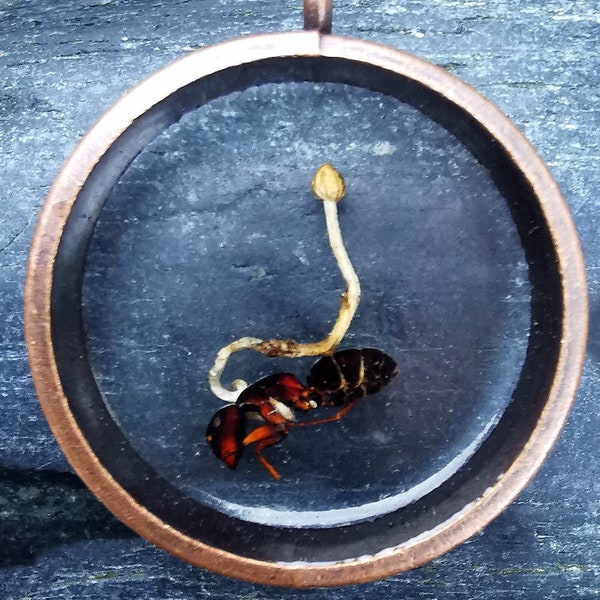 Cordyceps, Ophiocordyceps, Zombie Ants Fungus, Zombie Jewellery, Creepy Crawly Art, Insect Necklace, The Last of Us