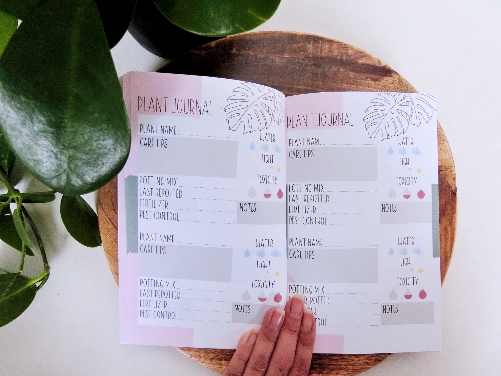 Plant Journal Diary Booklet Etsy Australia