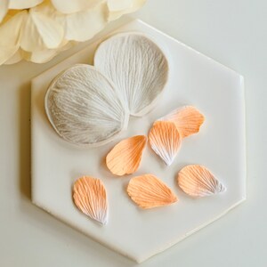 May include: Two silicone molds for making flower petals, shown with six peach-colored fondant petals.