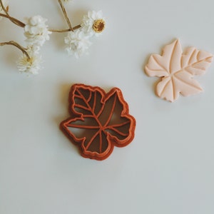 May include: A close-up of two leaf-shaped cookie cutters. One is a light pink color and the other is a dark red color. Both cutters are made of plastic.