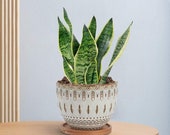 Vintage Succulent Planter, Ceramic Bohemian Planter, Small Flower Clay Pot, Indoor Planter Drainage Hole Bamboo Tray Fixed Saucer PLANTER1
