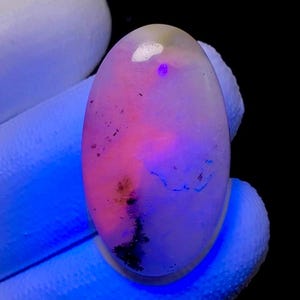 Puede incluir: Una gema ovalada con apariencia translúcida, que muestra una mezcla de tonos rosas y morados. La piedra tiene inclusiones oscuras y una mancha blanca cerca de la parte superior. La imagen está iluminada con luz azul.