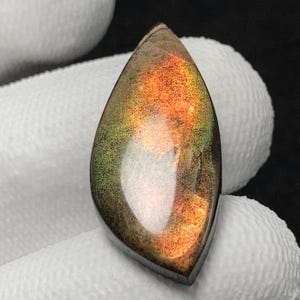 Natural Multi Fiery Ammolite, Freeform Cabochon, 26x12x4 MM, 10 CTS, Beautiful Cabochon, #C-309