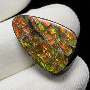 Könnte beinhalten: Ein polierter, tropfenförmiger Edelstein mit einer lebendigen Farbgebung. Die Oberfläche zeigt ein Mosaik aus Orange, Grün und Rot, mit dunkelbraunen und schwarzen Adern. Der Edelstein ist vor einem weißen Hintergrund platziert.