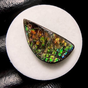 Ammolite, Freeform Cabochon, 25x13x5 MM, 16 CTS,Beautiful Cabochon,#C-1223