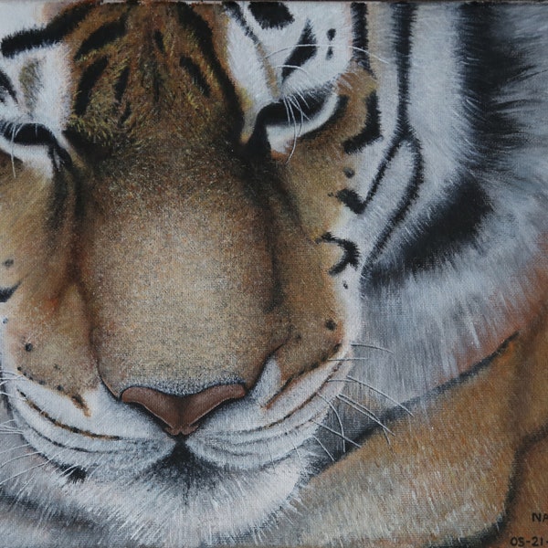 Tiger face close-up realistic painting for print, acrylic on canvas