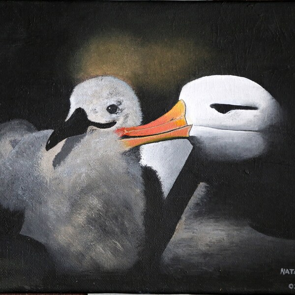 Albatross, mom and baby, acrylic painting for print, realistic