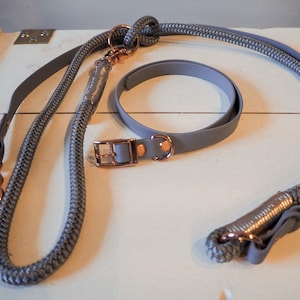 Dog leashes/neckband