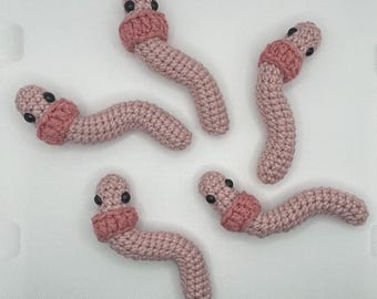 Wormy Pal