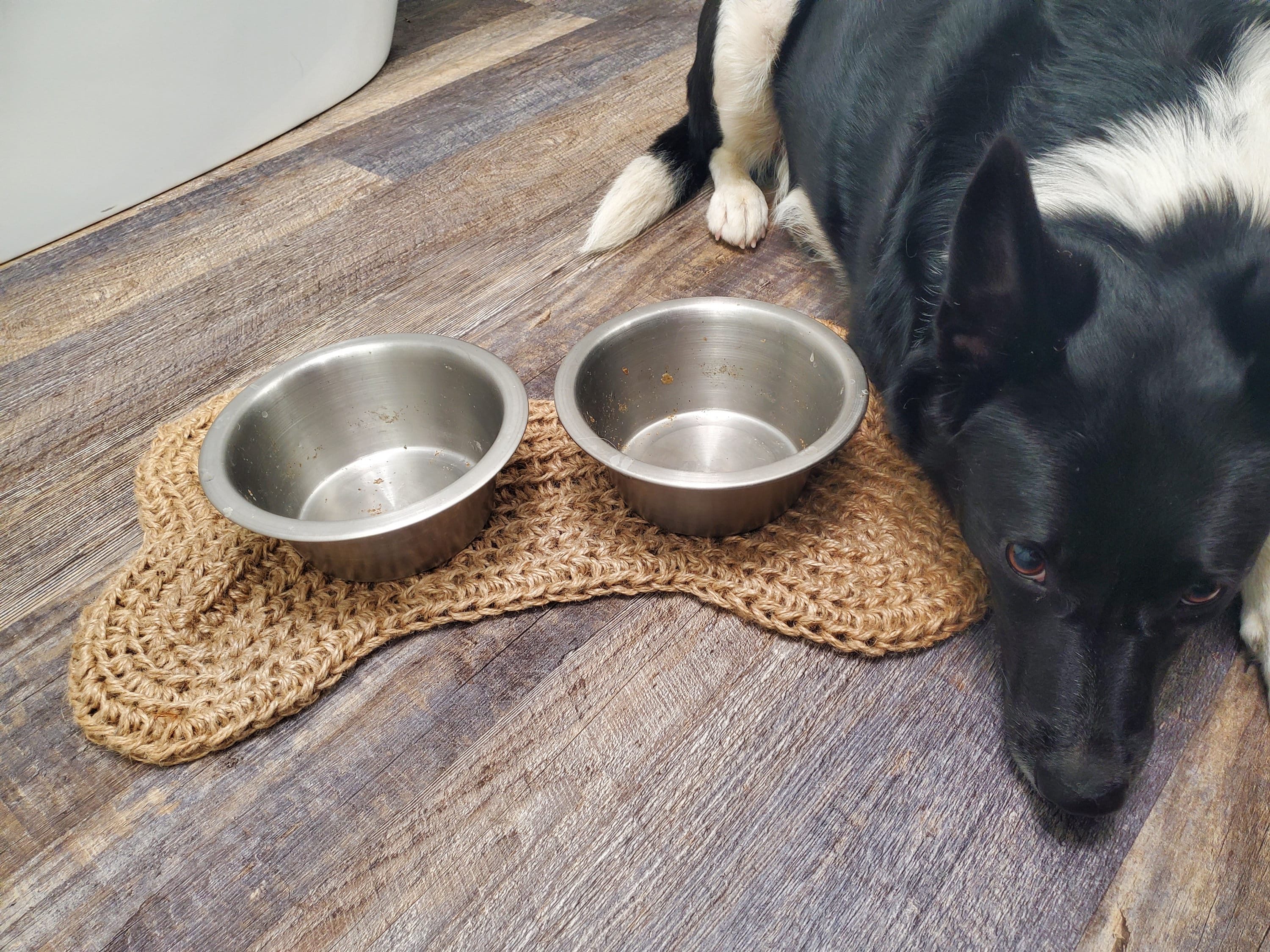 Dog Bowl Pattern Dog Bone Bowl Mat Crochet Pattern. Digital Purchase. - Etsy
