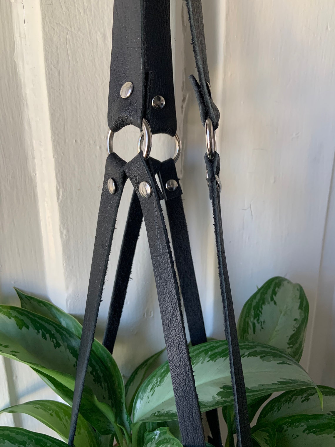 The Ollie Leather Plant Harness Hanger Etsy