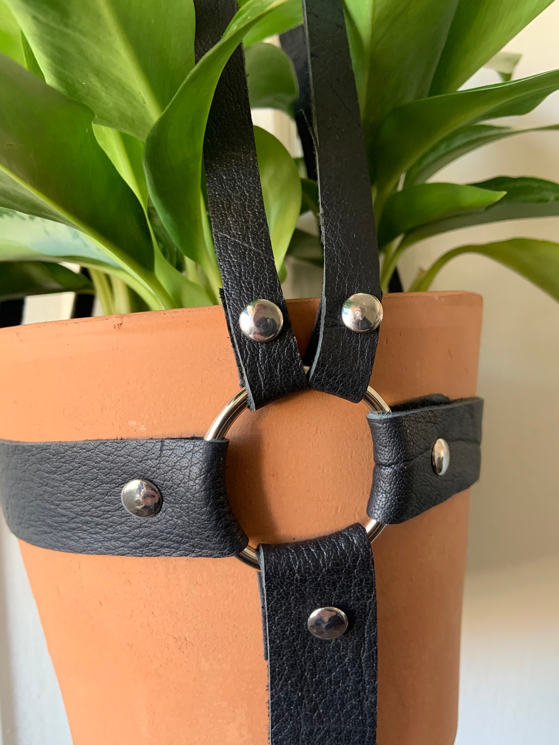 The Ollie Leather Plant Harness Hanger Etsy