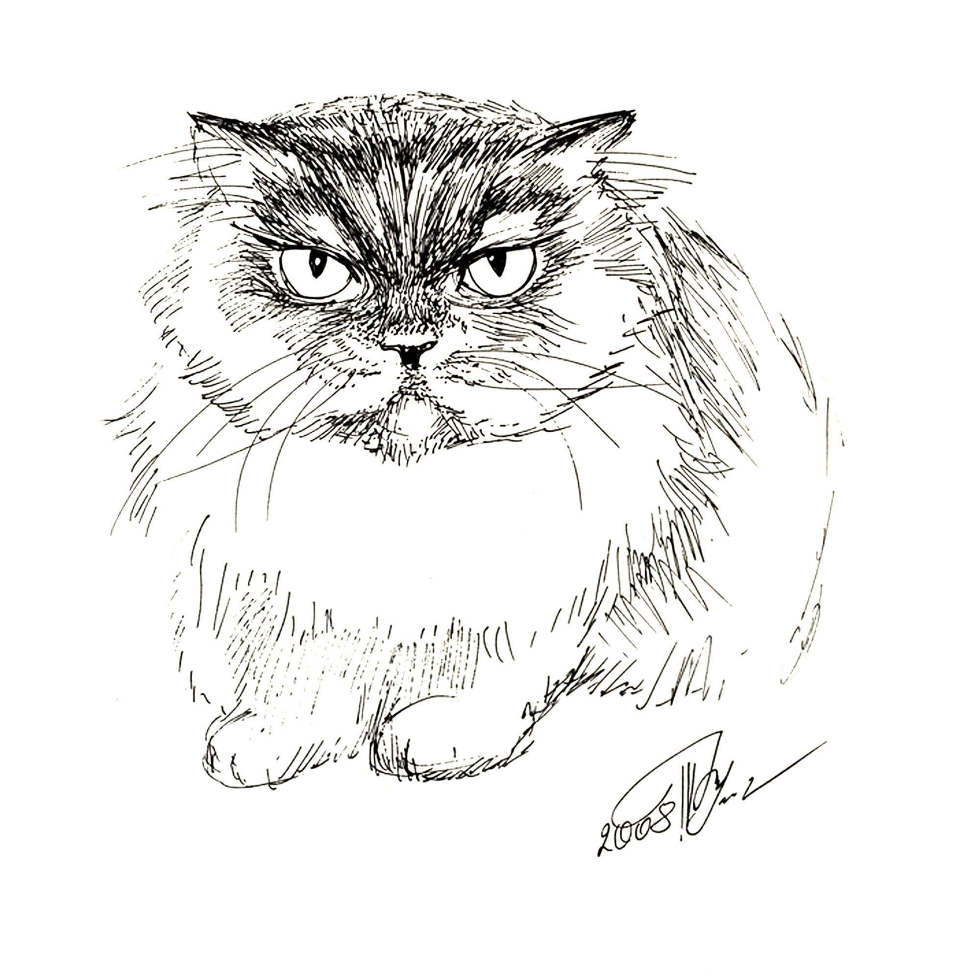 Katzen Skizze Geschenk für Einen Katzenliebhaber Bild mit | Etsy