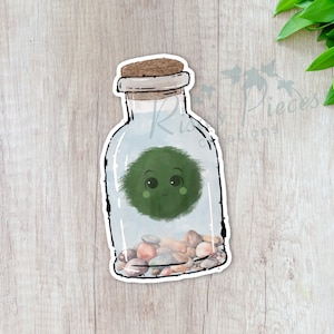 May include: A clear glass bottle with a cork stopper contains a green moss ball with a cute face. The bottle is filled with small, colorful stones.