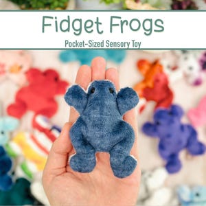 May include: A blue plush toy frog, a fidget toy, in a hand. The frog is small and soft, with a simple design. The text "Fidget Frogs" and "Pocket-Sized Sensory Toy" is visible above the frog.