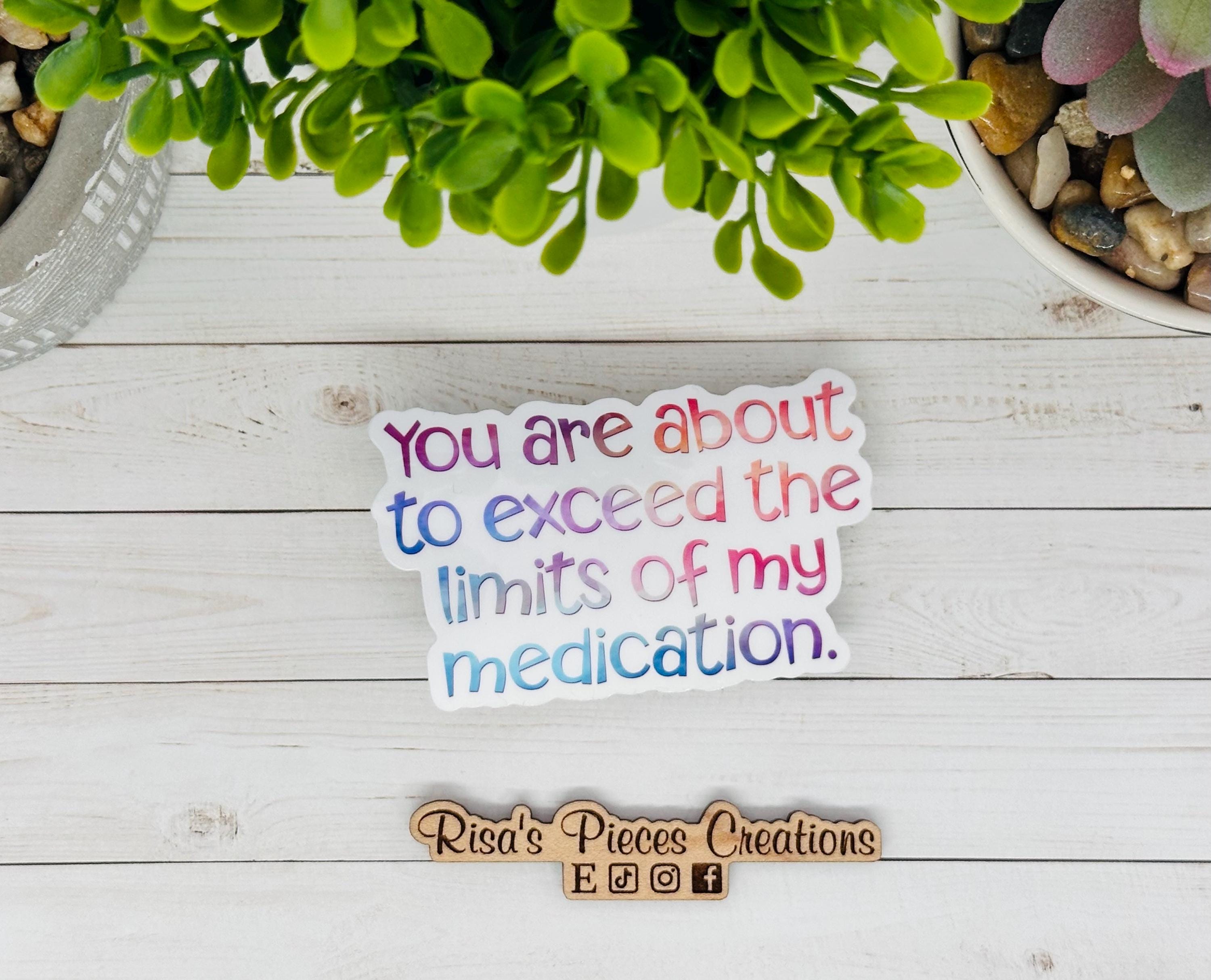 Exceed the Limits, Funny Sticker for Laptop, Birthday Gift for Friend ...