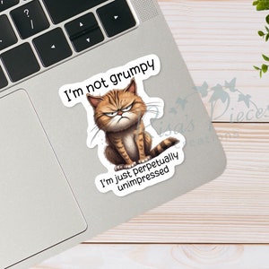 May include: A sticker featuring a cartoon cat with a grumpy expression. The text on the sticker reads "I'm not grumpy, I'm just perpetually unimpressed."