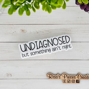 Undiagnosed Sticker, Funny Sticker for Laptop, Birthday gift For Friend, Snarky Stickers, Friend Humor, Water Bottle Stickers, For Teens