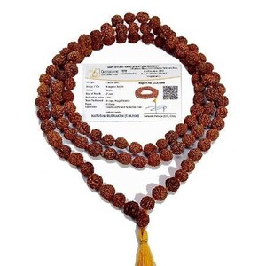 Rudraksha Mala Original 108 + 1 kralen GRATIS expresverzending over de hele WERELD