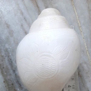 May include: A white conch shell with a carved floral design. The shell is approximately 15 cm long and has a small sticker on the bottom that reads "परमतत्व".