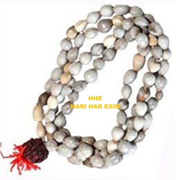 Vaijanti Mala Vaijanti Seeds Rosary 1081rudraksha Beads FREE