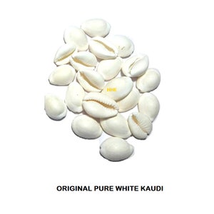 May include: A pile of white cowrie shells, also known as Kaudi shells, on a white background. The text "ORIGINAL PURE WHITE KAUDI" is below the shells.