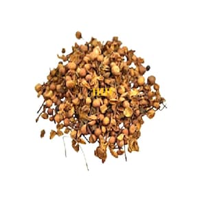 Nagkesar Seed-Raw Herbs-Nag Kesar-Nagkeshar-Gajkesar-Naagchampa Single Herbs-Jadi Booti - FREE Shipping across the GLOBE