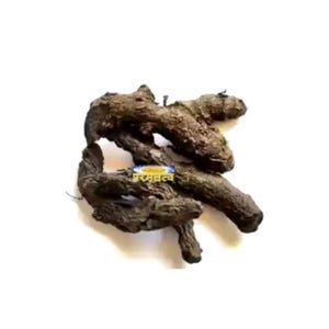 May include: A close-up of dried turmeric root, a common spice used in cooking and traditional medicine.